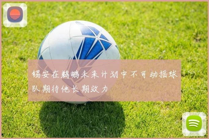 锡安在鹈鹕未来计划中不可动摇球队期待他长期效力