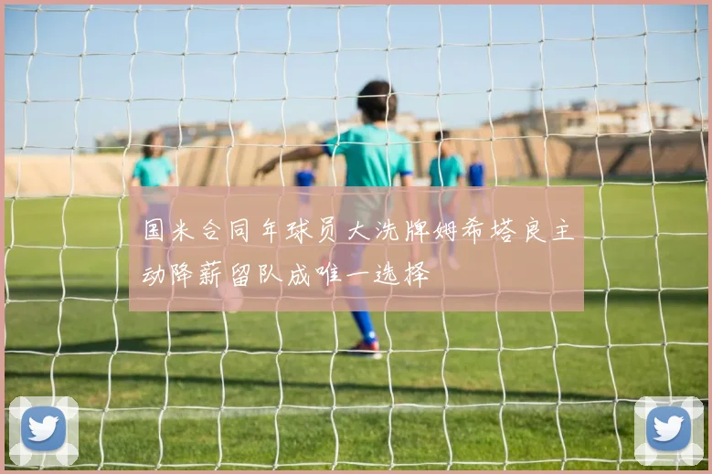 国米合同年球员大洗牌姆希塔良主动降薪留队成唯一选择