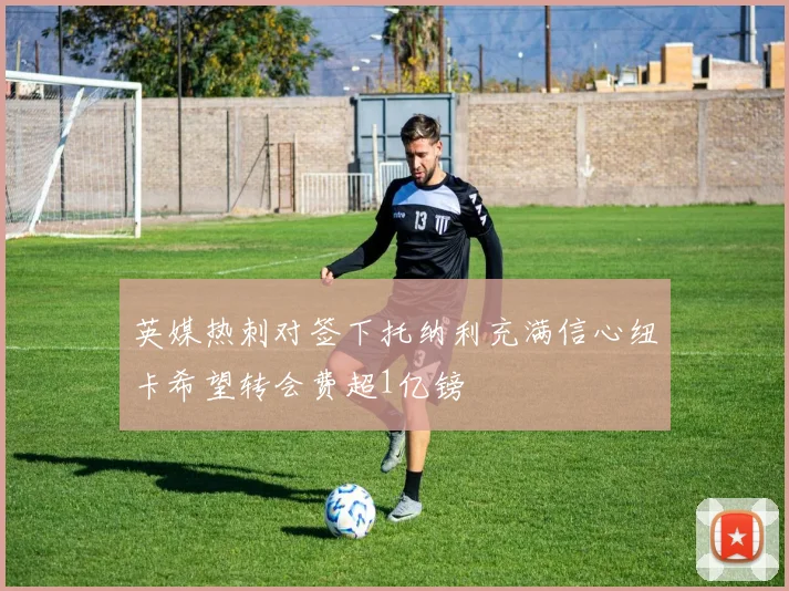 英媒热刺对签下托纳利充满信心纽卡希望转会费超1亿镑